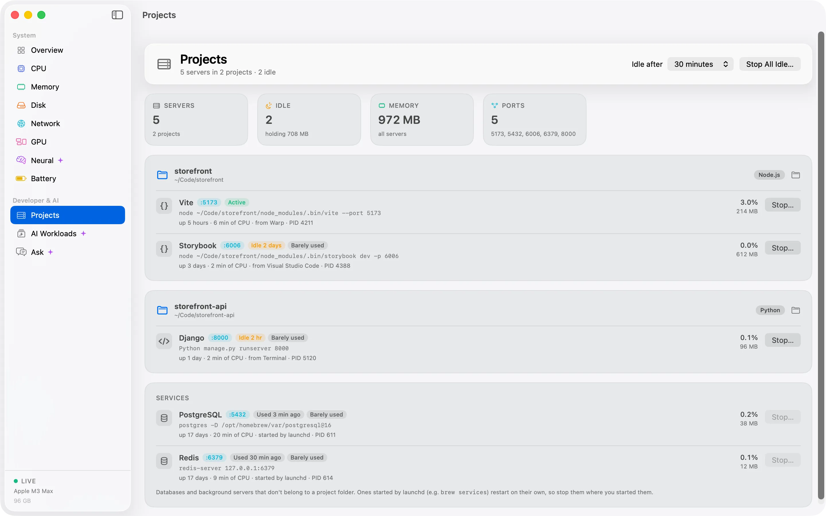 The Cortex Projects screen listing dev servers grouped by project, with their ports and uptime.